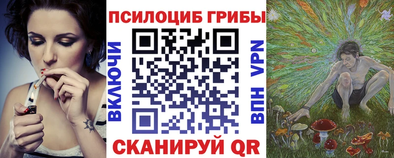 гидра зеркало  продажа наркотиков  Никольское  Галлюциногенные грибы прущие грибы 